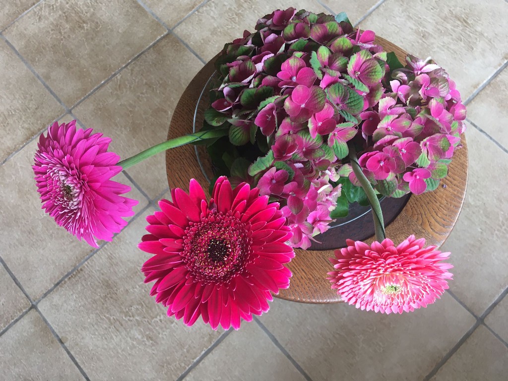 Tweedeling en drie-eenheid